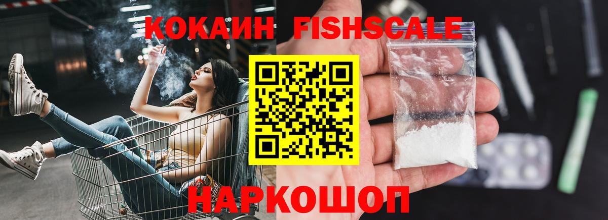Нижний Новгород  COCAIN Fish Scale  Вход с VPN 