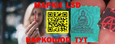 стафф Славгород