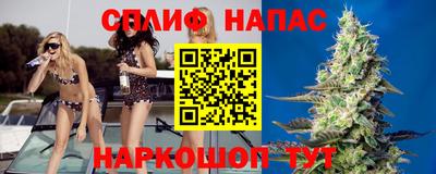 стафф Славгород