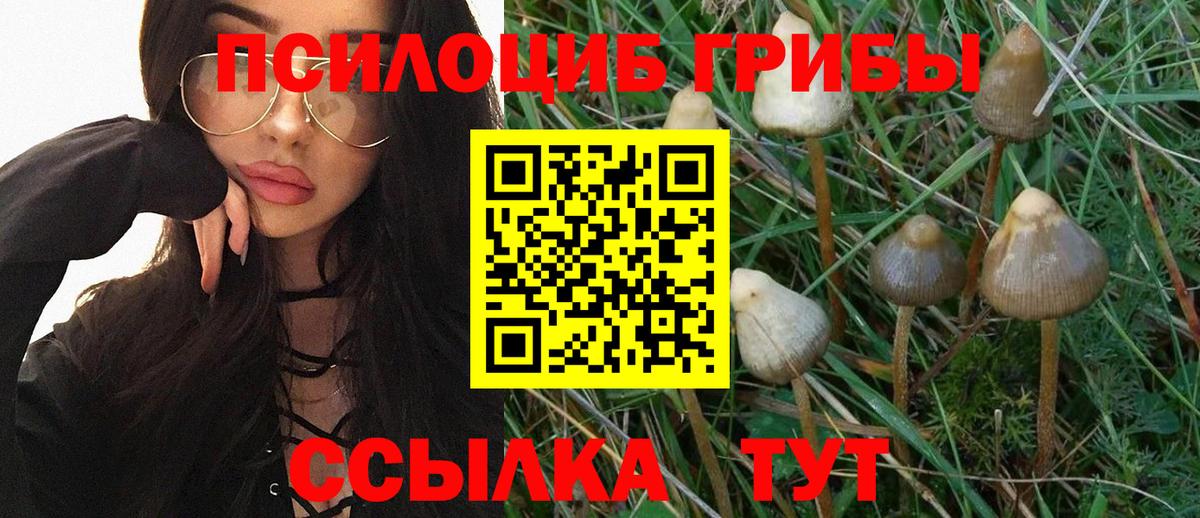 Галлюциногенные грибы Magic Shrooms  Вход с VPN  Галлюциногенные грибы GOLDEN TEACHER  Нижний Новгород 